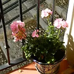Escapadas Romanticas En Granada Jacuzzi